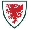 Wales VM 2022 Herre